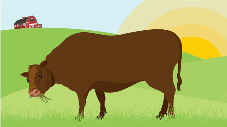 Become an Eco-Conscious Eater