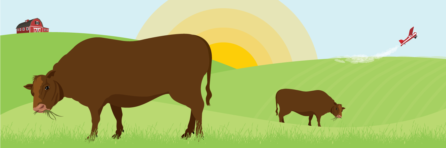 Become an Eco-Conscious Eater