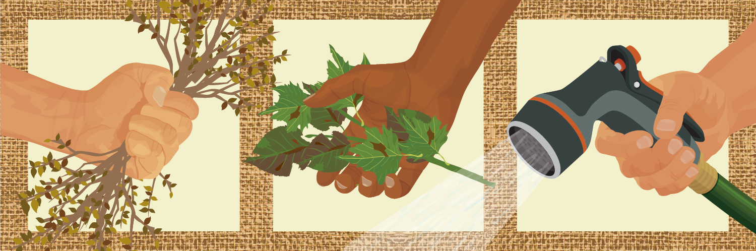 Preparing Your Garden for Winter