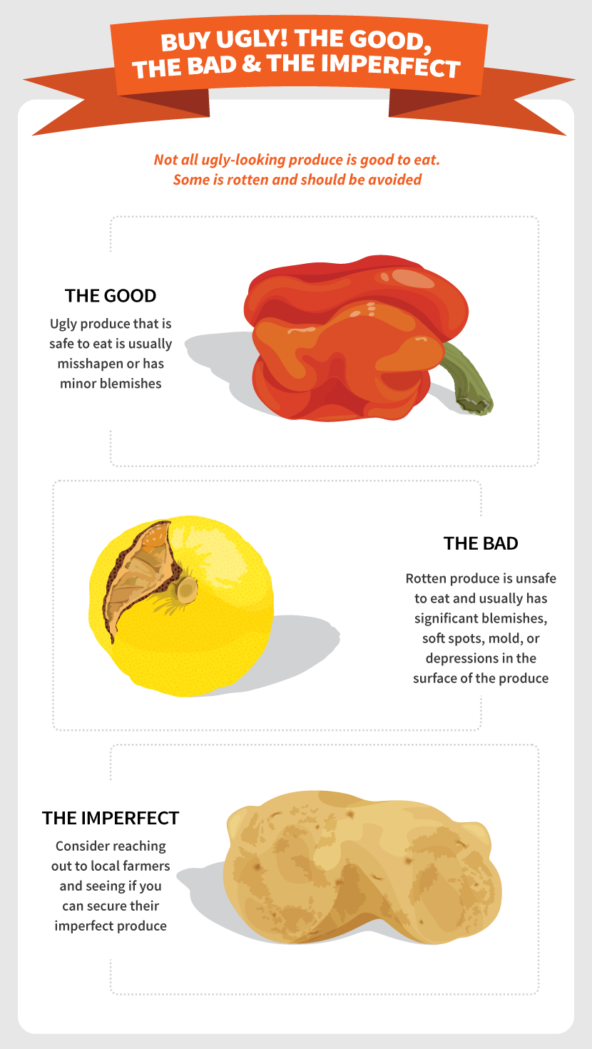 Buy Ugly! Buy the Good, the Bad, & the Imperfect - ‘Ugly Produce’: The Solution to Food Waste?