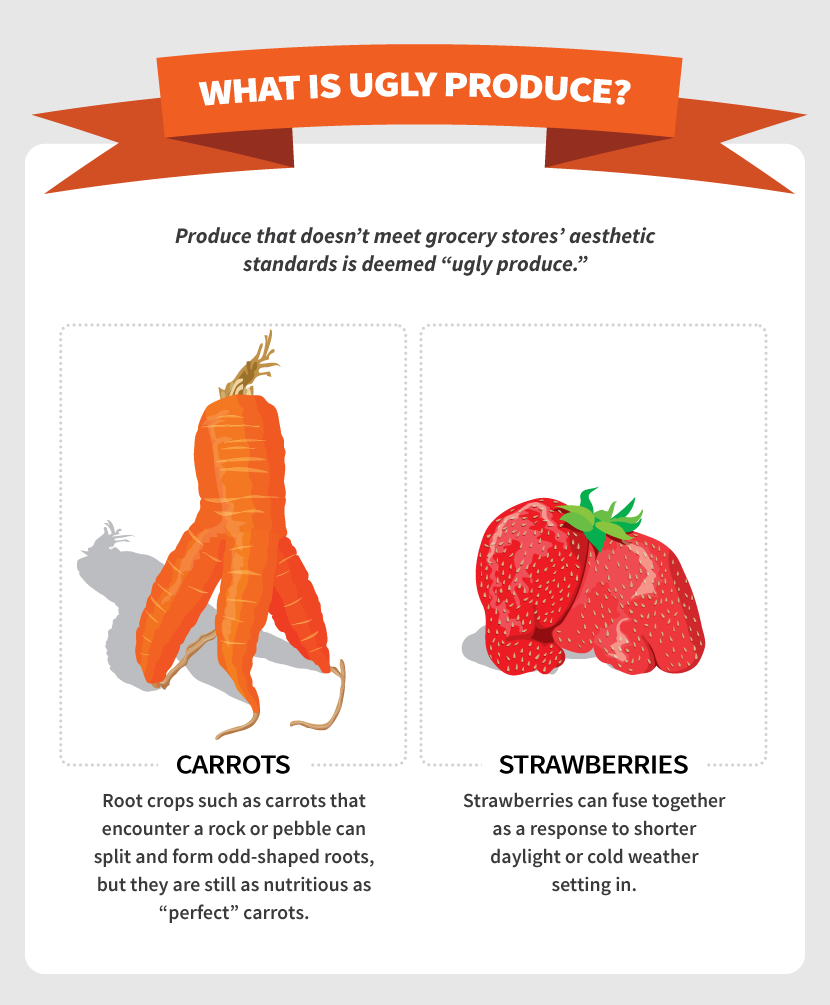 What is Ugly Produce? - ‘Ugly Produce’: The Solution to Food Waste?