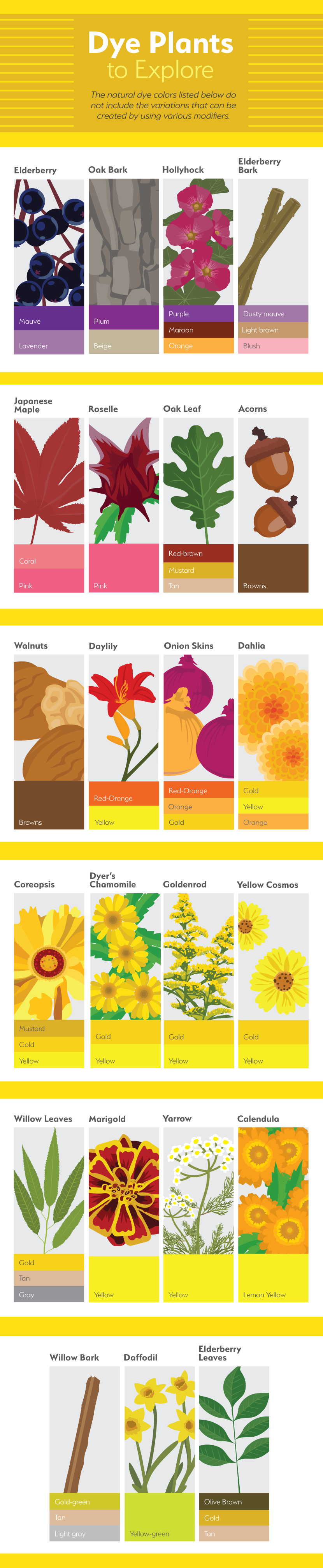 Dye Plants to Explore - Natural Dyes from Your Flower Garden