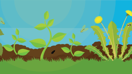 Plant a Pest-Resistant Garden