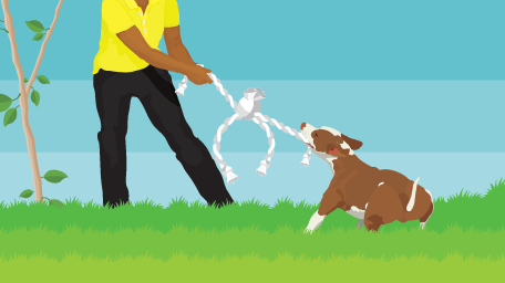 Green Pets: It's Possible to Pamper Your Pet and Protect the Planet