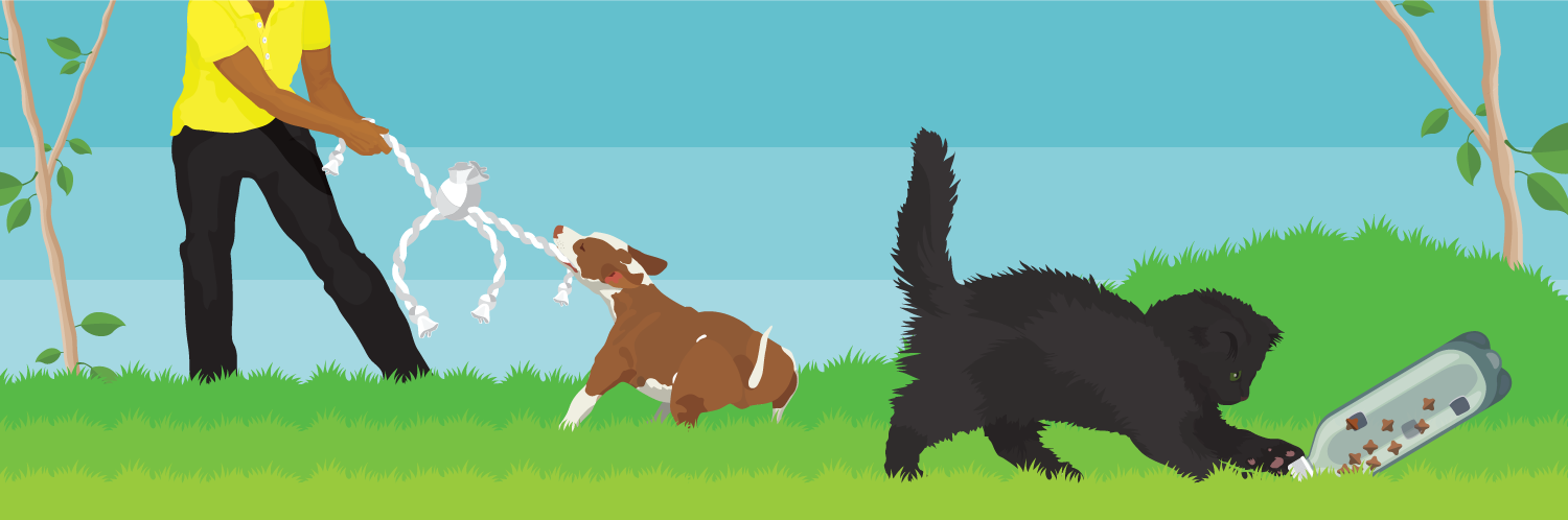 Green Pets: It's Possible to Pamper Your Pet and Protect the Planet