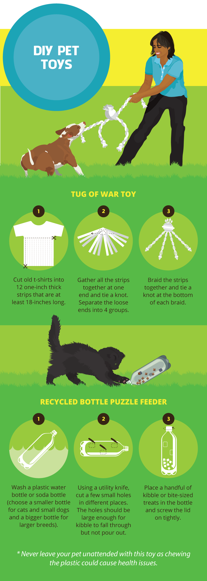 DIY Pet Toys - Green Pets