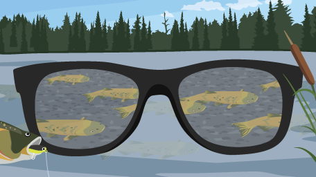 How to Select the Right Sunglasses for Fishing