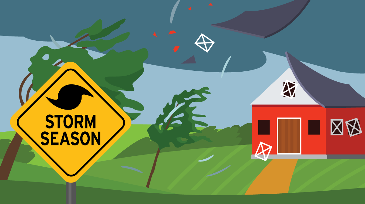 Inspecting Your Home After a Storm