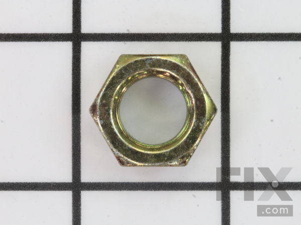 10007065-1-M-Craftsman-73940800-Nut