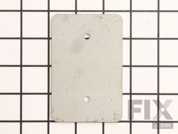 10007402-1-M-Homelite-74156-Valve Plate