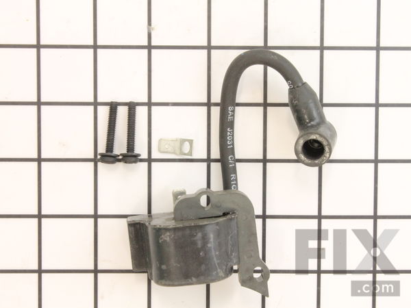 10009082-1-M-Ryobi-753-04245-Module Assembly