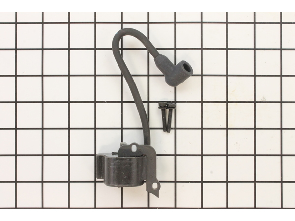 10014568-1-M-Ryobi-791-182725-Ignition Module with Screws