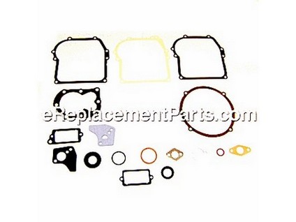 10015011-1-M-Briggs and Stratton-795971-Gasket Set-Engine