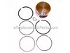 Piston Assembly – Part Number: 799063