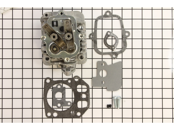 10015114-1-M-Briggs and Stratton-799072-Head-Cylinder