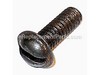 10016441-1-S-Homelite-80560-Screw