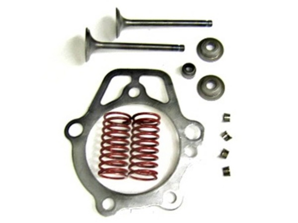10019448-1-M-Generac-88401-Valve Spring