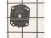 Diaphragm Assembly Metering – Part Number: 95-552-8