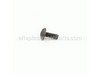 Screw, T25 Truss HD – Part Number: 96620