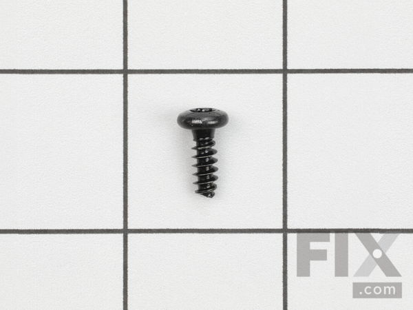 10037237-1-M-Homelite-983645005-Screw (M4)