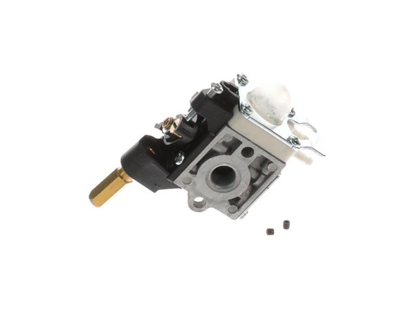 10039106-1-M-Echo-A021000723-Carburetor