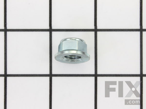 10039641-1-M-Homelite-A100462-Lock Nut, M10
