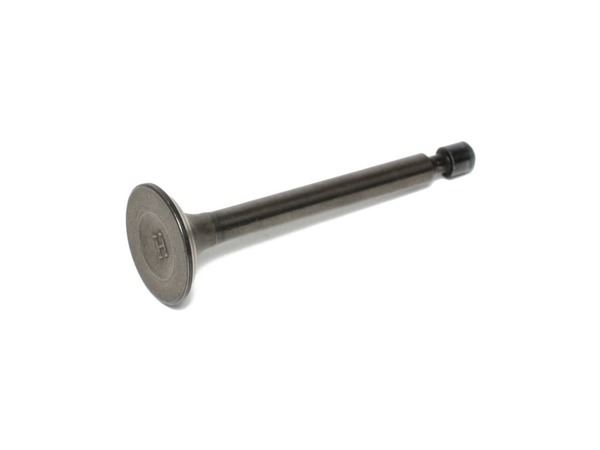 10039965-1-M-Powermate-A100748-Valve, Exhaust