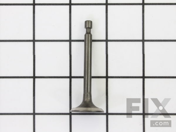 10039967-1-M-Powermate-A100751-Valve, Intake