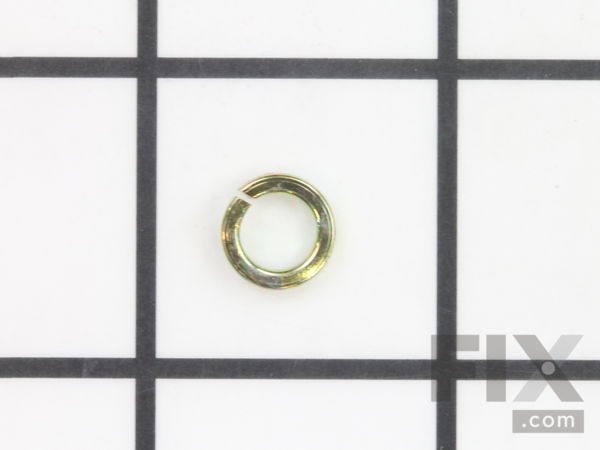 10040232-1-M-Powermate-A101197-Spring Washer