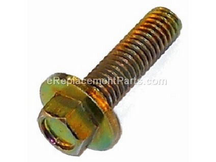 10040729-1-M-Homelite-A200100-Screw