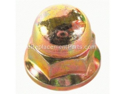 10040749-1-M-Homelite-A200116-Acorn Nut