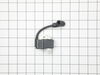 10041523-2-S-Echo-A411001180-Coil, Ignition