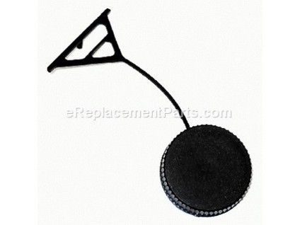 10042164-1-M-Homelite-A97230A-Cap and Retainer