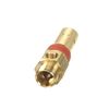 10043938-2-S-Campbell Hausfeld-CV221502SJ-Check Valve