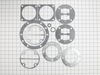 10044589-1-S-Campbell Hausfeld-DP500068AV-Complete Gasket and O-ring Kit