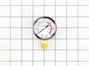 10046162-1-S-Rolair-GA0250300GC-Gauge-tank