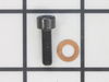 Oil Drain With O-Ring- M5-1.25 X 10 mm – Part Number: HL012100AV
