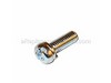 10049197-1-S-Shindaiwa-P004001590-Screw