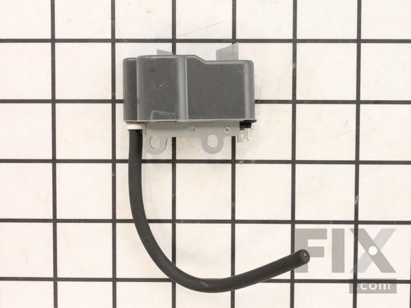 10049366-1-M-Echo-P021036741-Assy, Ignition Coil