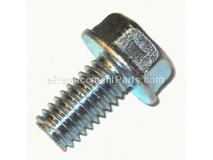 10049799-1-M-Homelite-PS00082-Screw