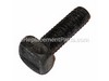 10049933-1-S-Homelite-PS02435-Screw-Square Head