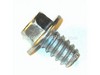10051168-1-S-Campbell Hausfeld-ST116400AV-Screw