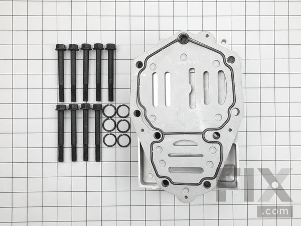 10051932-1-M-Campbell Hausfeld-TF067301SJ-Head Valve Plate Assembly