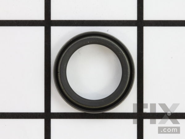 10053228-1-M-Homelite-UP07436-Seal