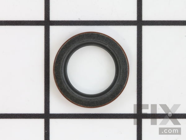 10053231-1-M-Homelite-UP07439-Seal- Crankshaft