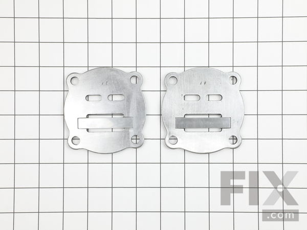 10053807-1-M-Campbell Hausfeld-VH900200AV-Valve Plate Kit