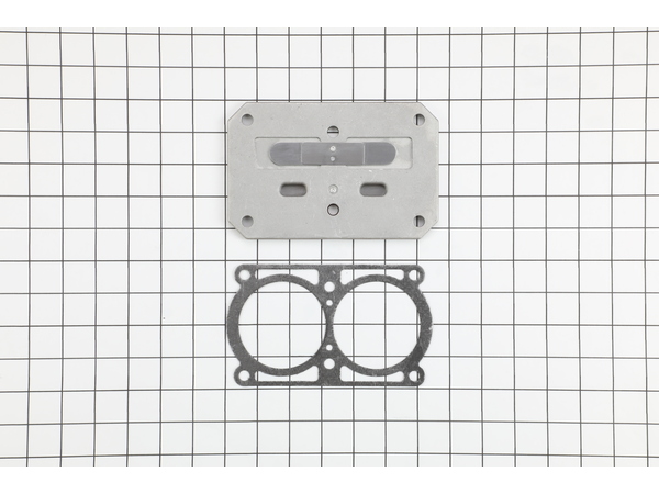 10054036-1-M-Campbell Hausfeld-VT491100AV-Valve Plate Assembly