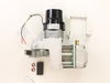 Pump/Motor Assembly – Part Number: WL212100AJ