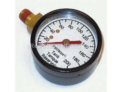 10054571-1-M-Craftsman-Z-D21923-Gauge Tank