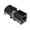 10058304-3-S-Bosch-00755505-MOTOR
